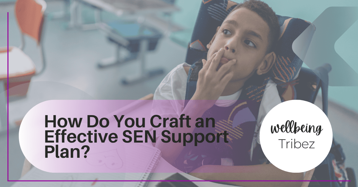 SEN Support Plan